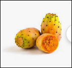 Fichi d'India.PNG