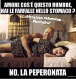 FB_IMG_1666111677330.jpg