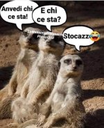 FB_IMG_1666091463996.jpg