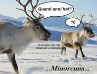 FB_IMG_1666074462924.jpg