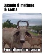 FB_IMG_1666172880246.jpg