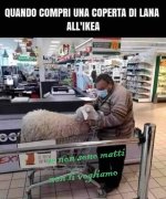 FB_IMG_1666286060527.jpg