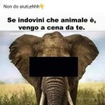FB_IMG_1666249783580.jpg