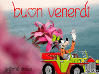 fab38be251dcd6a37067da6062ab7312.gif