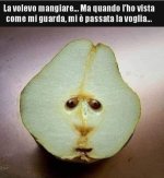 FB_IMG_1666366515765.jpg
