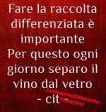 FB_IMG_1666427109472.jpg