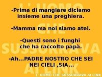 FB_IMG_1666548199682.jpg