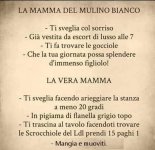 FB_IMG_1666696682120.jpg