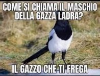 FB_IMG_1666586830434.jpg