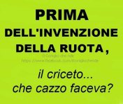 FB_IMG_1666767441517.jpg