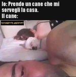FB_IMG_1666767461361.jpg