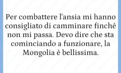 FB_IMG_1666937134187.jpg