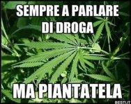FB_IMG_1667061071865.jpg