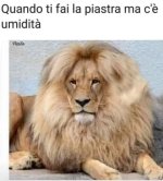 FB_IMG_1667033011741.jpg