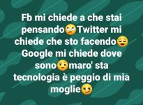 FB_IMG_1667312361470.jpg