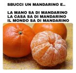 FB_IMG_1667312306885.jpg