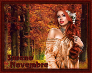 Sereno novembre.png