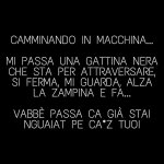 FB_IMG_1667493422485.jpg