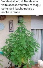 FB_IMG_1667484883296.jpg