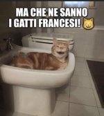 FB_IMG_1667584946613.jpg