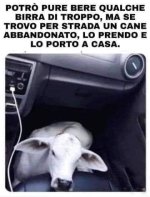 FB_IMG_1667583824304.jpg