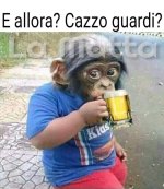FB_IMG_1667563595868.jpg
