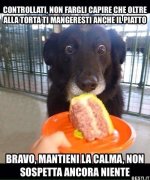Controllati, non fargli capire.jpeg