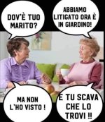 08.jpg