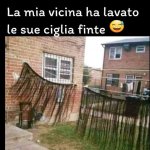 FB_IMG_1667748764190.jpg