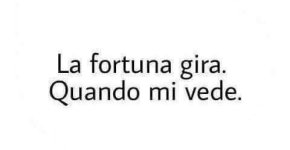 FB_IMG_1667736205969.jpg