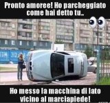 FB_IMG_1667644110048.jpg