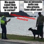 FB_IMG_1667831839693.jpg