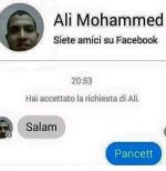 FB_IMG_1667831851389.jpg