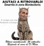 FB_IMG_1667820345503.jpg