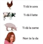 FB_IMG_1667922189436.jpg