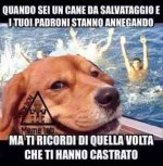 FB_IMG_1667915418331.jpg