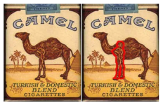 The Undeniably Schlong-Shaped Nose of Joe Camel.png