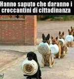 FB_IMG_1667978943966.jpg