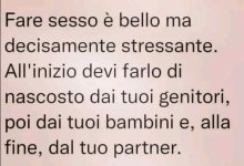 FB_IMG_1668063742901.jpg