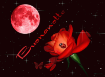 1668113093326.png