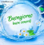 venerdì.jpg