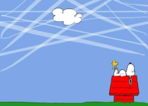 1668174230773.png