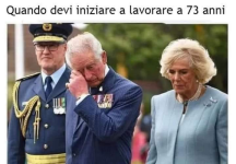1668175783797.png