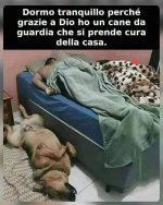 FB_IMG_1668182806860.jpg