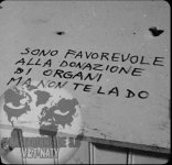 FB_IMG_1668174076677.jpg