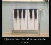 FB_IMG_1668150588705.jpg