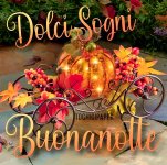 buonanotte-autunnale-immagini-gratis-belle-originali-divertenti-WhatsApp-Facebook-2340942.jpg