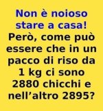 FB_IMG_1668247476767.jpg