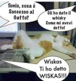 FB_IMG_1668247291755.jpg