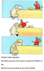 Amici.jpg